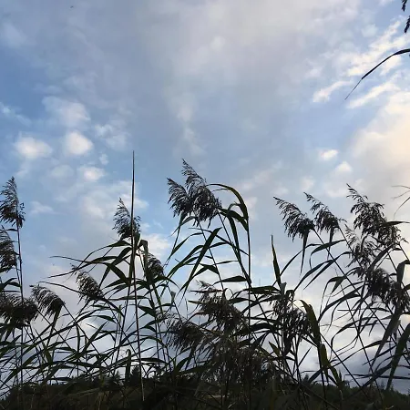 Lejlighed Werkgut - Charmantes Grosszuegiges Loft Im Naturpark